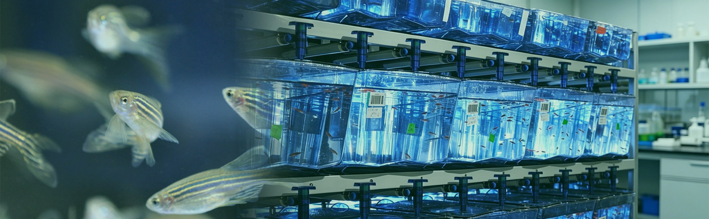 Warehousing & supply